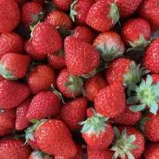 Berry.の画像