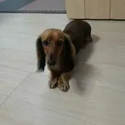 みい