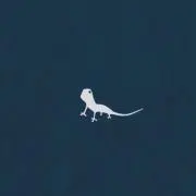 食パンの画像