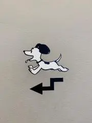 hakoの画像