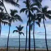 かななの画像