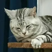 たけぽん
