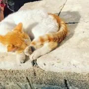 M ♥ 独自ルール・喫煙なしの画像