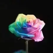 るる姫＊プロフご確認下さい＊の画像