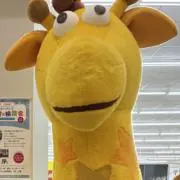 ダダの画像