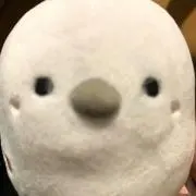 断捨離びっちゃん♡の画像