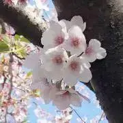 mmkの画像