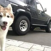 kenken