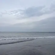 24の画像