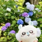 zzz☆平日発送の画像