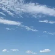 れもん