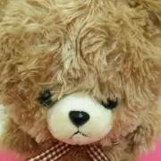 くまさん˙ᴥ˙♡