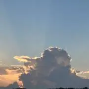 shiroの画像