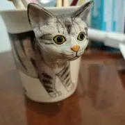 ハライ