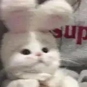 かちかちさんの画像