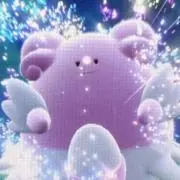 mashiの画像