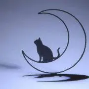 猫丸の画像