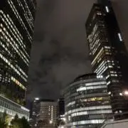 てぃーーーの画像