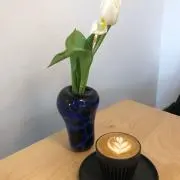 Takの画像