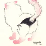 あさにゃん