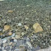 boom.即日発送心がけます。の画像
