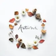 autumnの画像