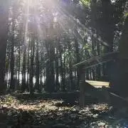 Michaelの画像