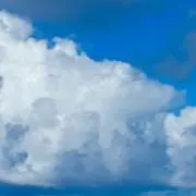 とまと