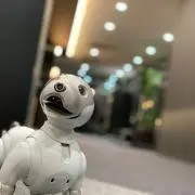 Nomuの画像