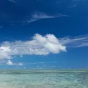 立夏の画像