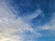 junの画像