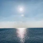 ninonの画像
