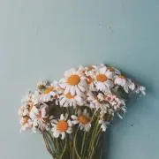Mの画像