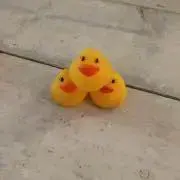 たま【24時間以内発送】の画像