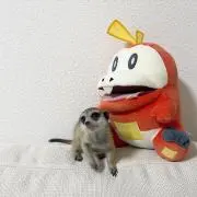 官兵衛