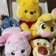 ハジーヌの画像