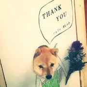 にも