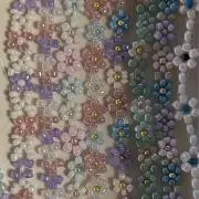 マイチャニの画像