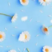 あんみつの画像