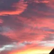 ぽちりんOH7の画像