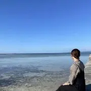 わらびもちの画像