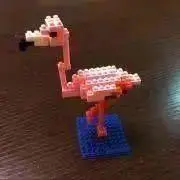 チヒロの画像