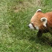 みゅうの画像