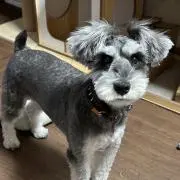 ソラボン