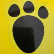 Takacの画像