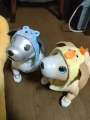 お急ぎの方は購入前にコメントお願いしますの画像
