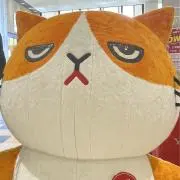 Yuki.の画像