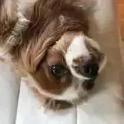 zakiの画像