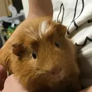 隊長