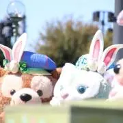 くまくまの画像